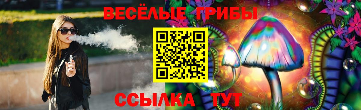 Галлюциногенные грибы Psilocybine cubensis Выборг